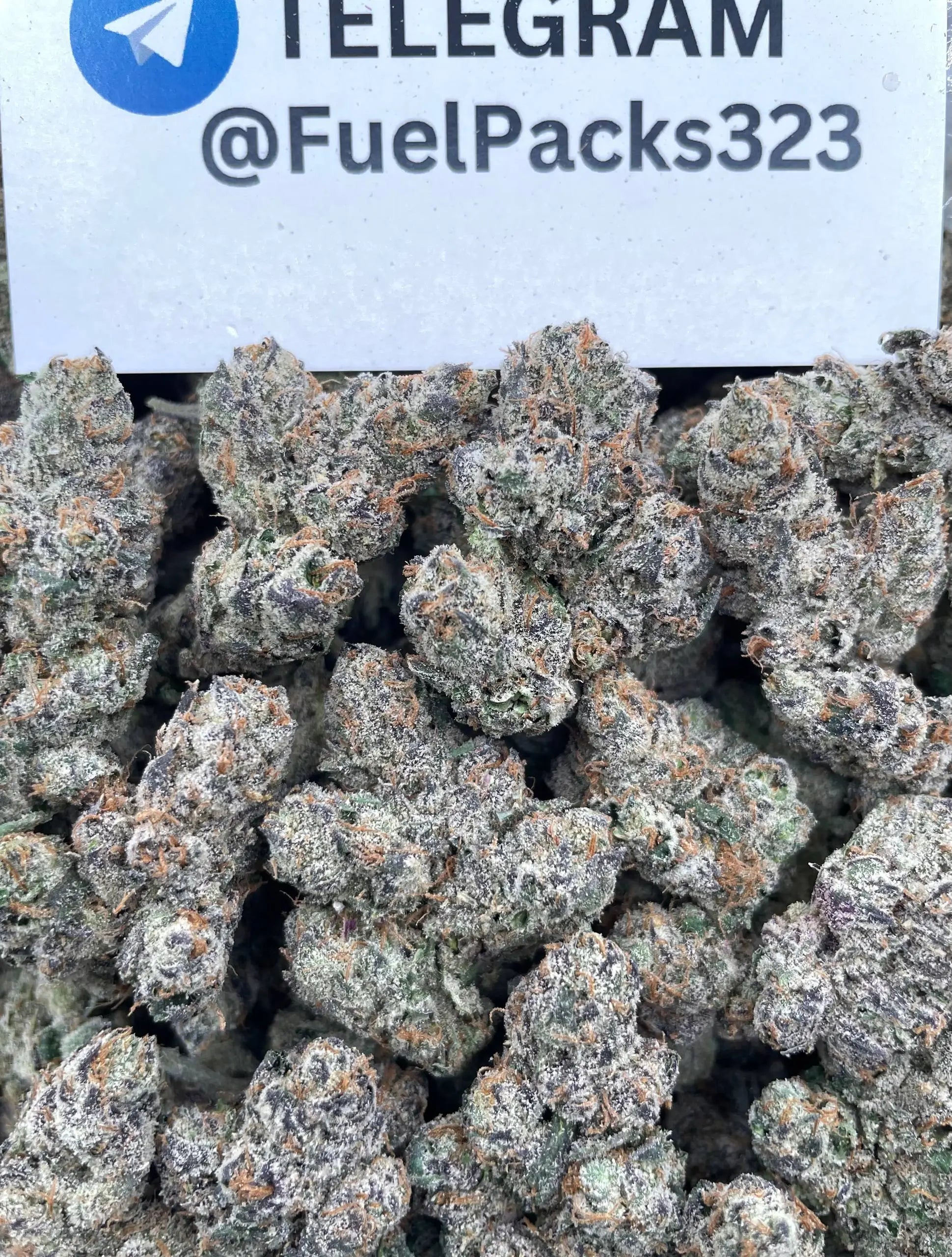 Pi-Chew 👋🍬 #DP2