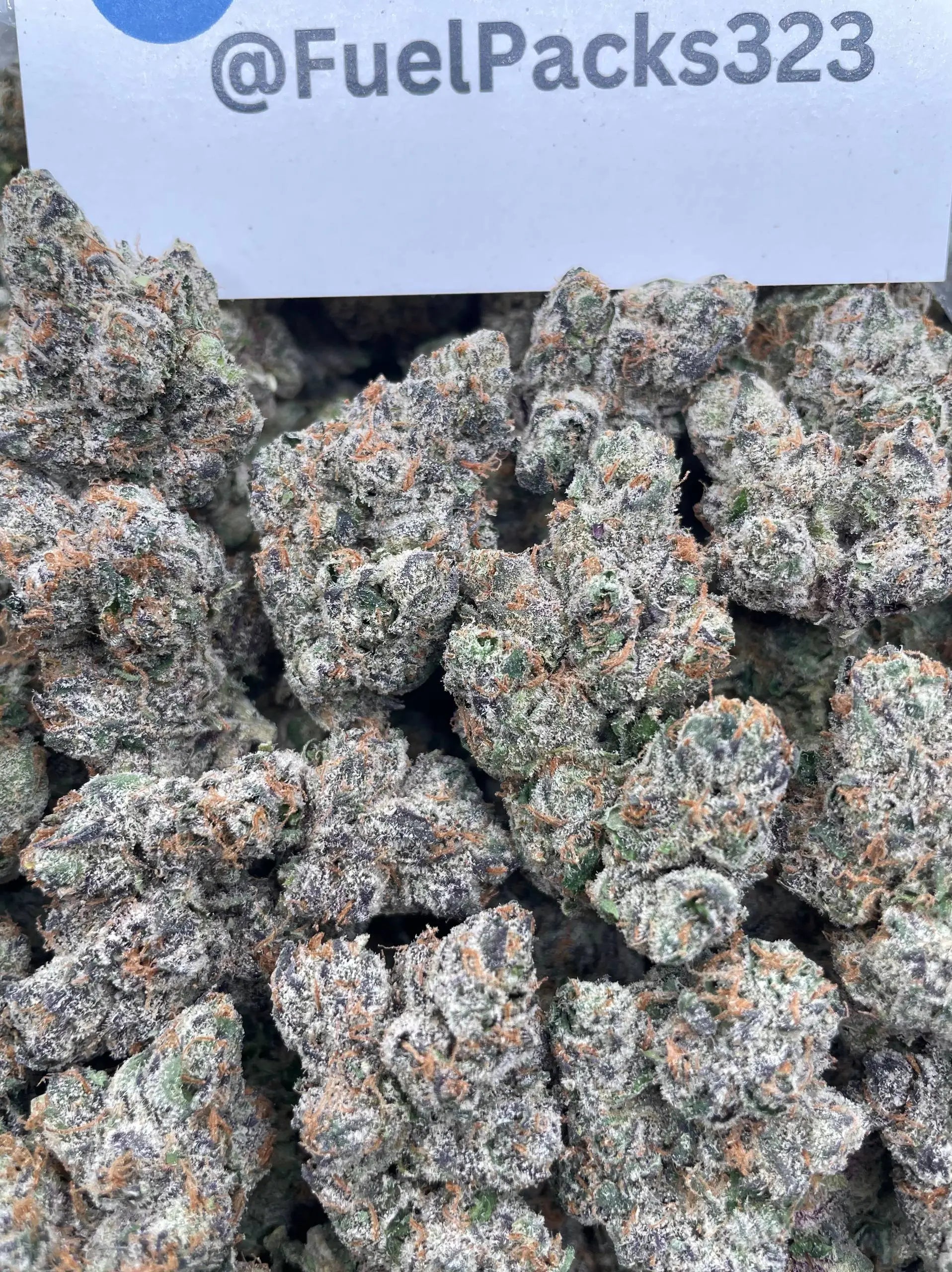 Bazooka Berriez 🚀🍬 #DR4