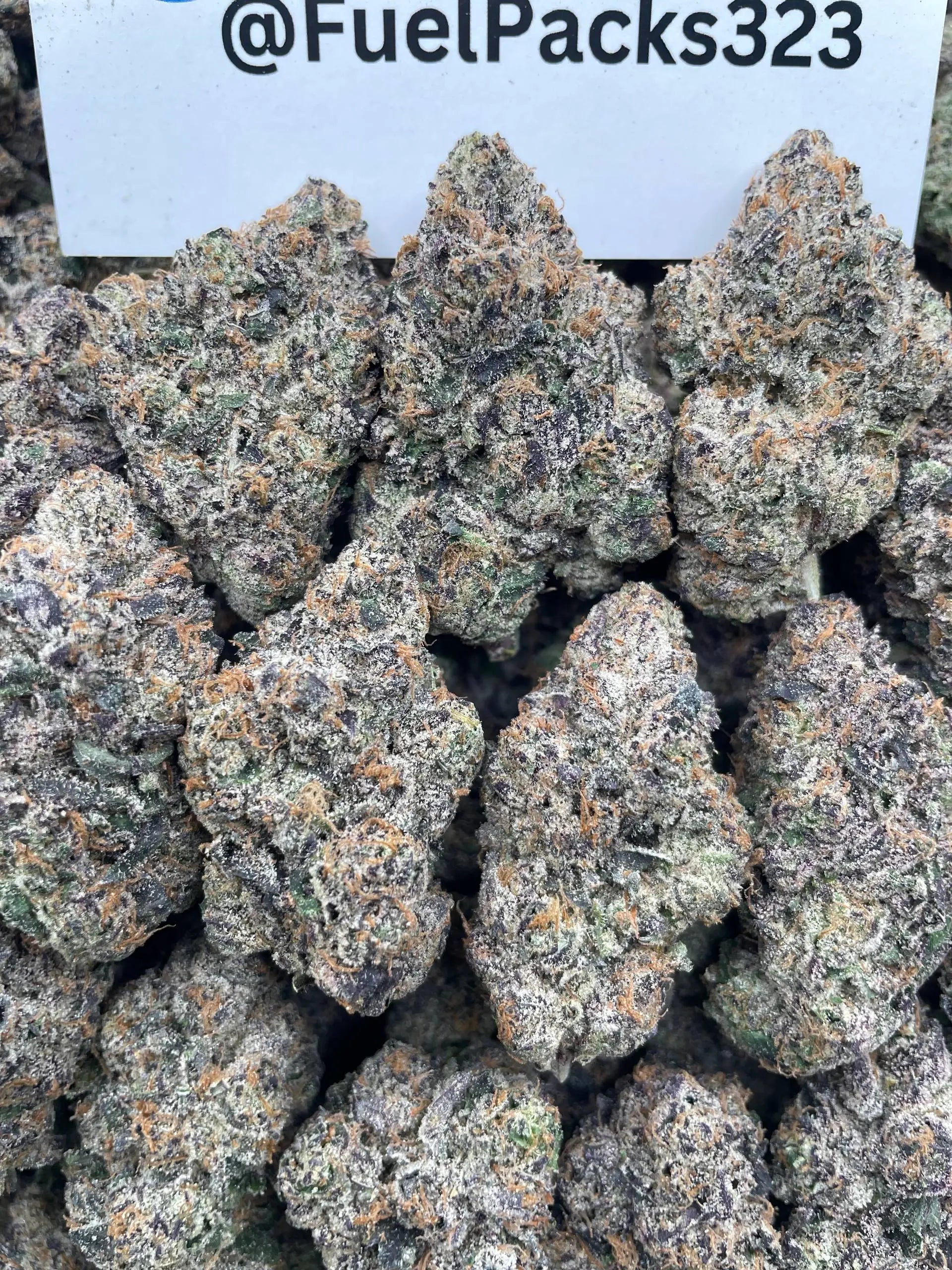 Cryptochronic 👾🍭 #AT2